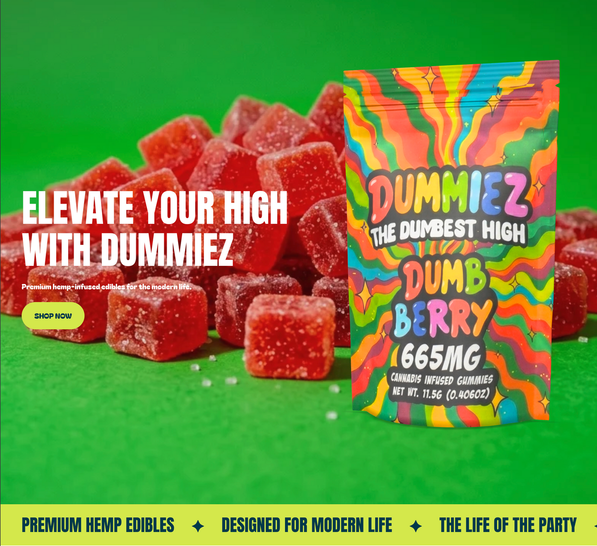 Dummies Updates 2026